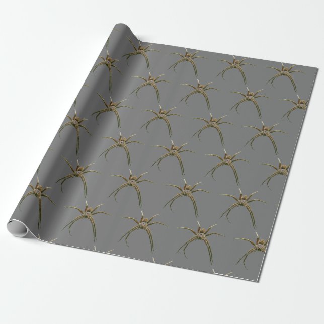 Spindel Presentpapper (Utrullad)