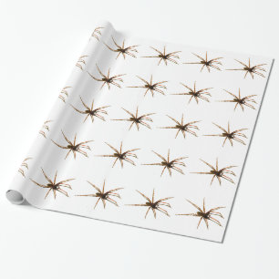 Spindel Presentpapper