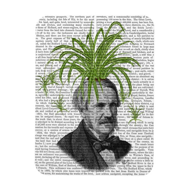 Spindelanläggningens huvud magnet (Vertikal)