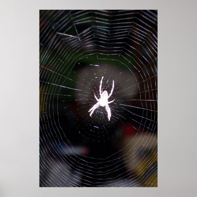 Spindelare i Webben 2 Poster (Framsidan)