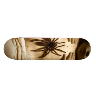 Spindelbaby Mini Skateboard Bräda 18,5 Cm