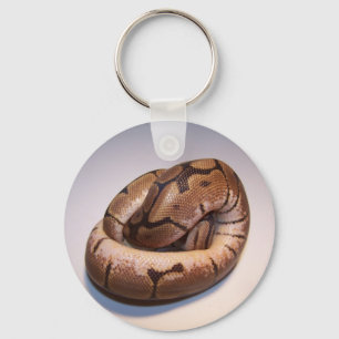 Spindelbollpytonorm Keychain Nyckelring
