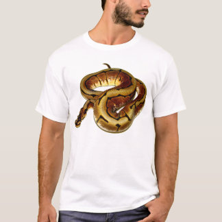 Spindelbollpytonorm T-shirt