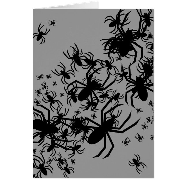 Spindelbunch Hälsningskort (Framsidan)