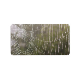 SpindelCobweb Adressetikett