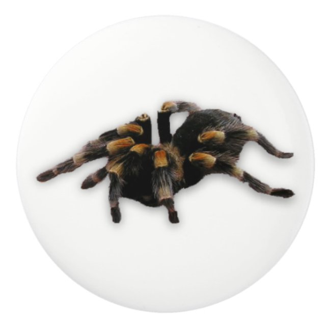 spindelhandtag knopp (Framsidan)