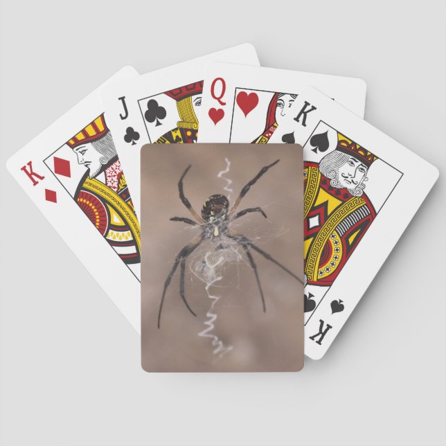 Spindelkort Casinokort (Baksidan)