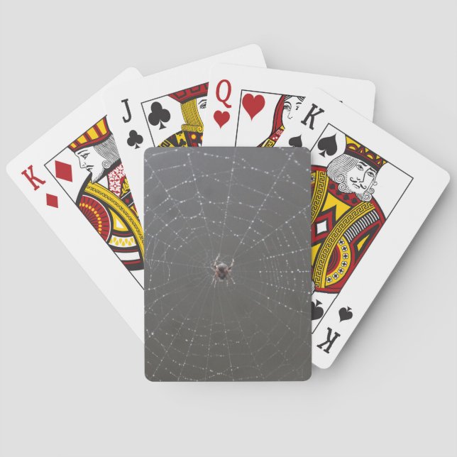 Spindelkort Casinokort (Baksidan)