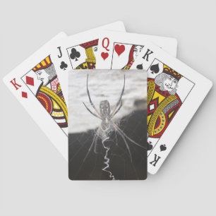 Spindelkort Casinokort