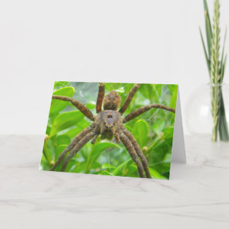 Spindelkort Kort