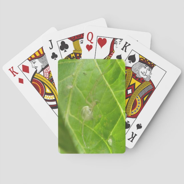 Spindelkort Kortlek (Baksidan)