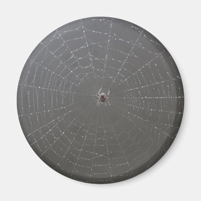 Spindelmagnet Magnet (Framsidan)