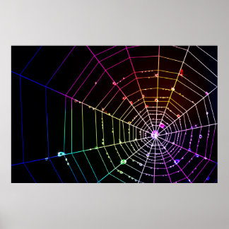 Spindelnät 1 Skriv ut Poster