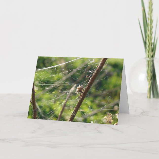 Spindelnät Bokeh Kort (Framsida)