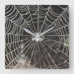 Spindelnät Clock Arachnology Fyrkantig Klocka