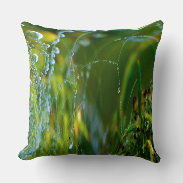 Spindelnät Dekorativ kudde (Framsida)