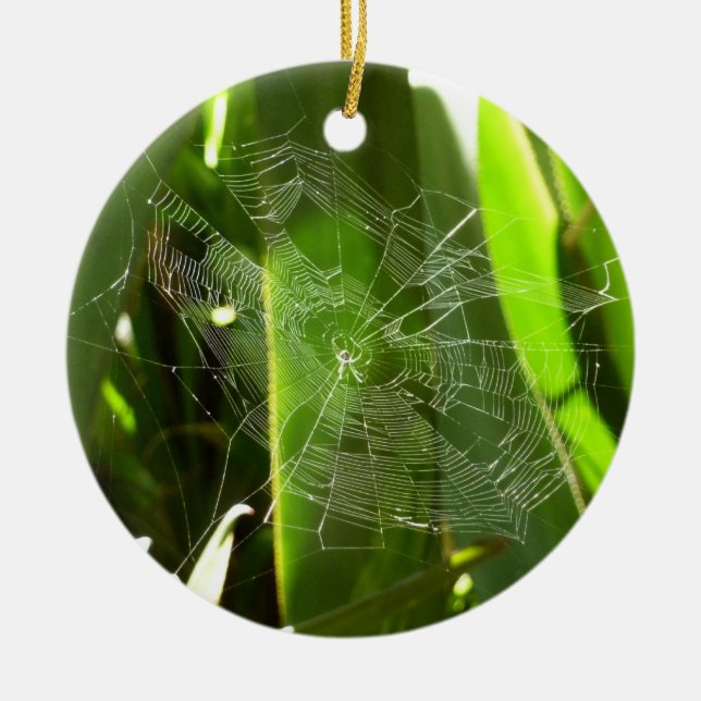 Spindelnät i Tropical Lövs Nature Julgransprydnad Keramik (Framsidan)