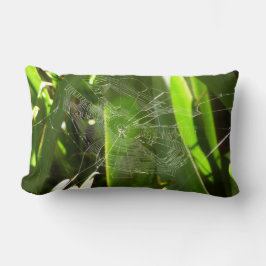 Spindelnät i Tropical Lövs Nature Lumbarkudde