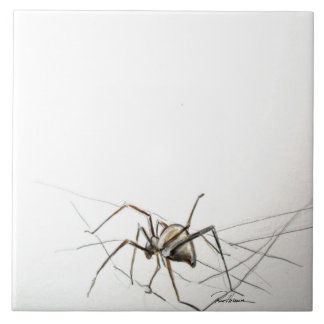 Spindelnät Kakelplatta