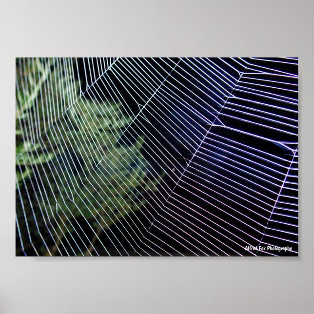 Spindelnät på natten poster (Framsidan)