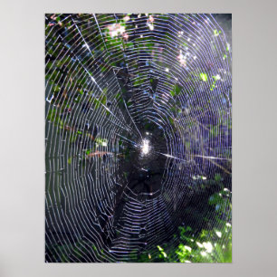 Spindelnät Poster