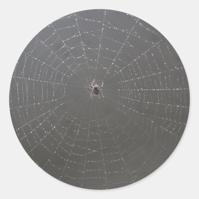 Spindelnät Sticker Runt Klistermärke (Framsida)