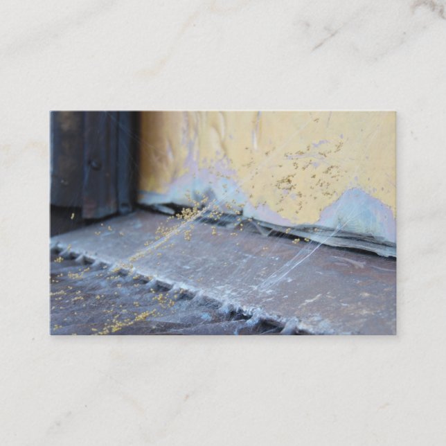 Spindelnät Visitkort (Framsida)