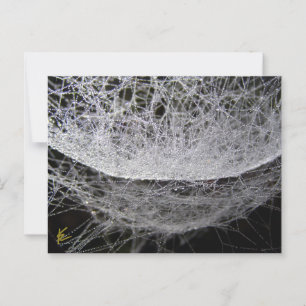 Spindelnätet Dew Drop Vatten Hammock Vykort