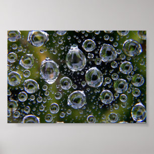 Spindelnätets droplet-filer poster
