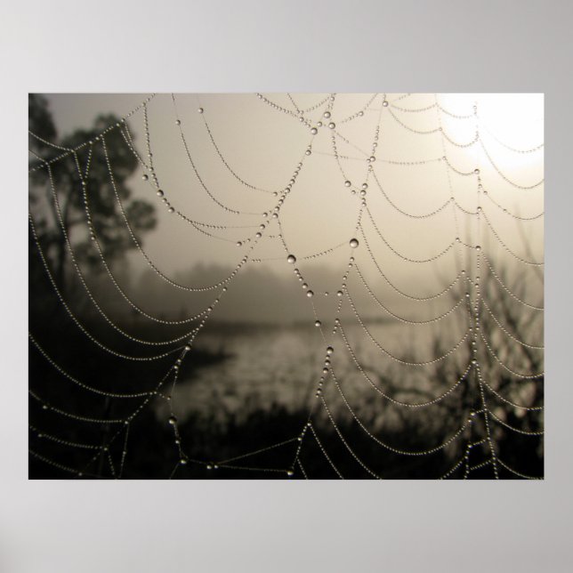 Spindelns morgon poster (Framsidan)