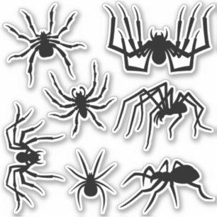 Spindelns silhouettes-etikettuppsättning klistermärken