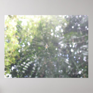 Spindelns Webben Poster