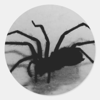 spinderoo runt klistermärke