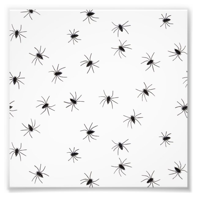 Spindlar Fototryck (Framsidan)