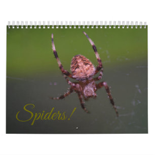 Spindlar! Kalender