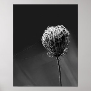 Spindlar med Wildblomma Matchande Spider Älskare Poster