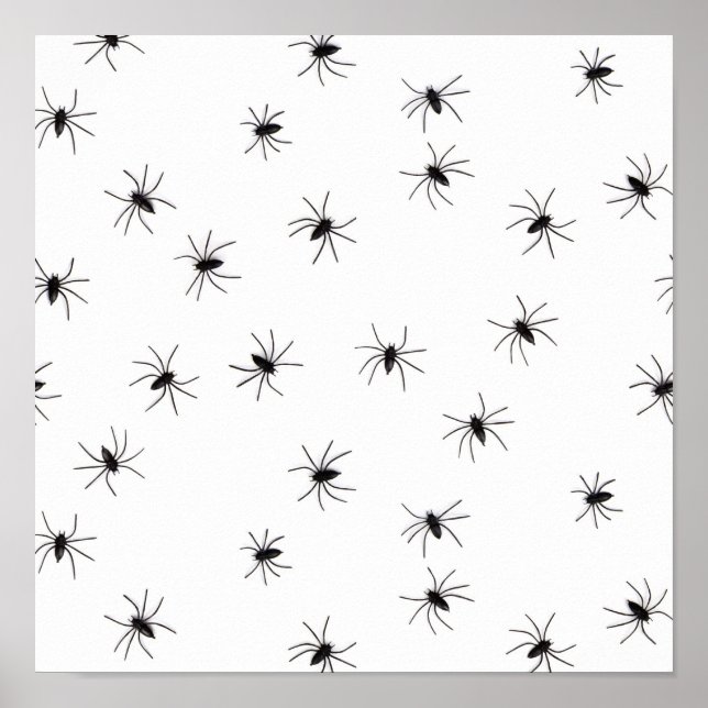 Spindlar Poster (Framsidan)
