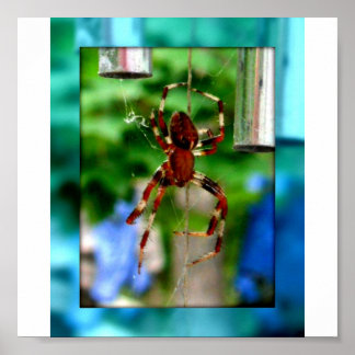 spindlar poster