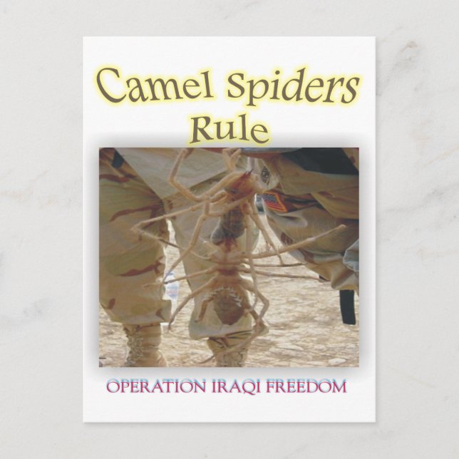 Spindlar Vykort (Framsida)