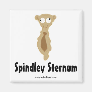 Spindley Stern Magnet