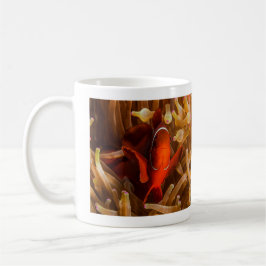 Spinecheek Anemonefish av muggen för Kaffemugg
