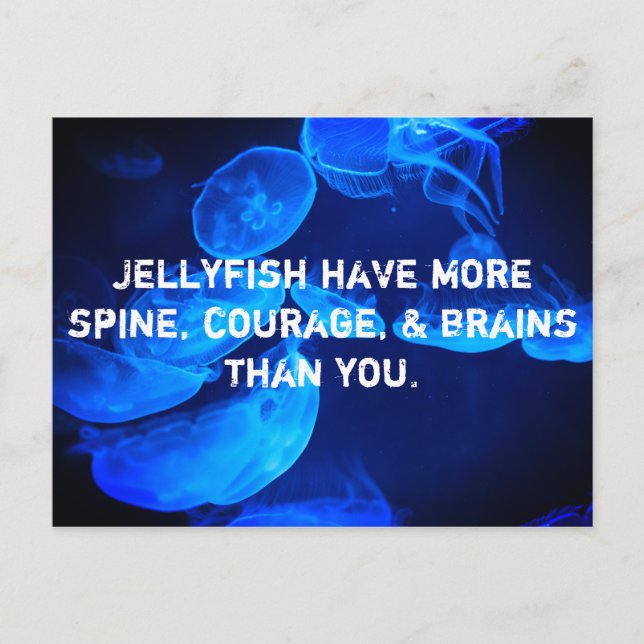 Spinless Vykort (Framsida)