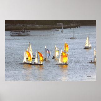 Spinnakers Grab Vinden Poster