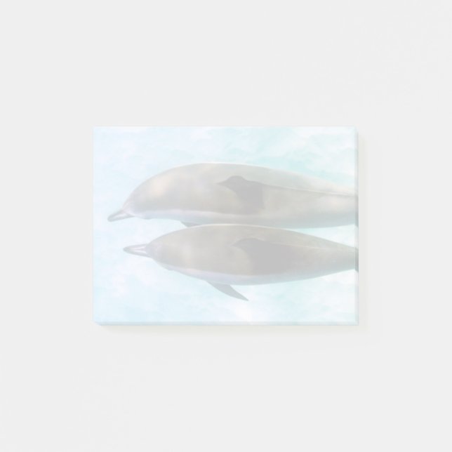 Spinnande delfiner| Oahu Hawaii Post-it Block (Framsida)