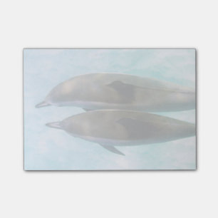 Spinnande delfiner Oahu Hawaii Post-it Block