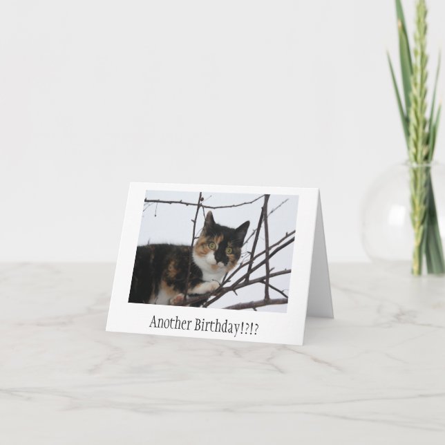 Spinnande-fectfödelsedagkort Kort (Framsida)