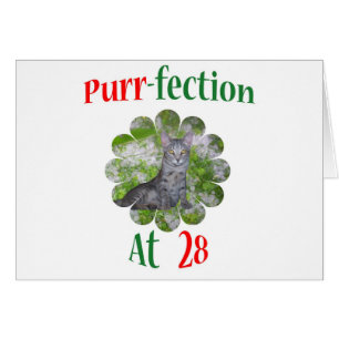 Spinnande-fection 28 hälsningskort