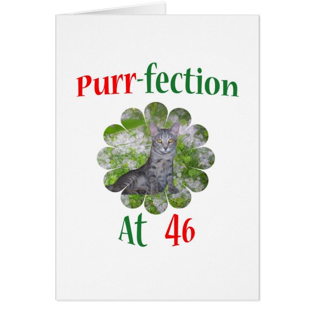 Spinnande-fection 46 hälsningskort (Framsidan)