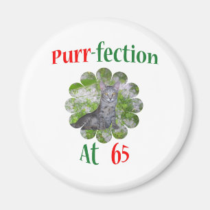 Spinnande-fection 65 magnet