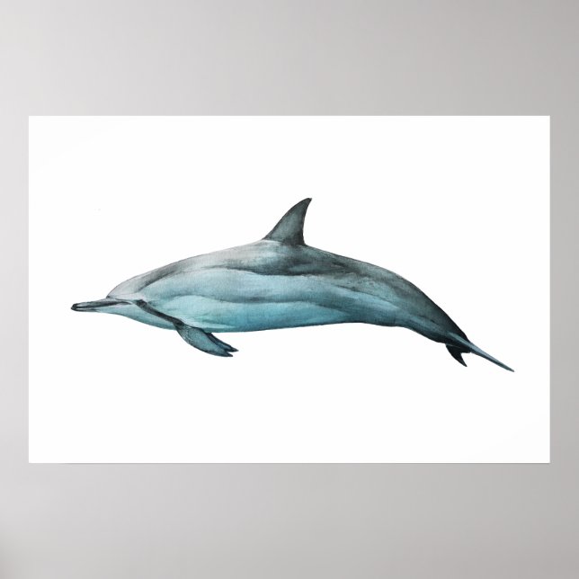 Spinner Dolphin realistic illustration Print Poster (Framsidan)